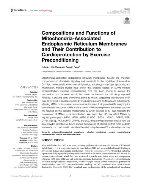 PDF Compositions And Functions Of Mitochondria Associated Endoplasmic