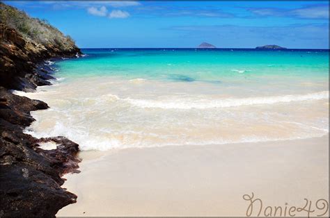 Punta Cormorant Isla Floreana Galapagos Nanie49 Flickr