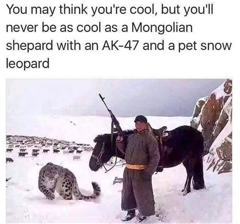 The Best Mongolia Memes Memedroid