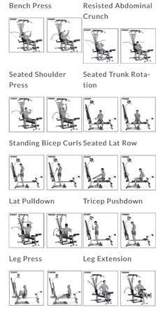 Bowflex Workout | Bowflex workout routine, Bowflex workout, Bowflex workout plan