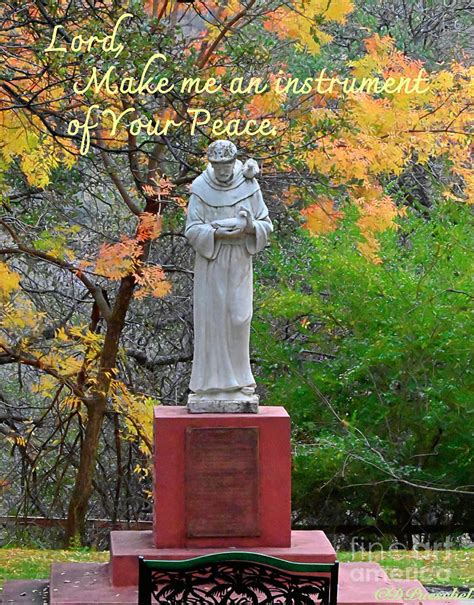 St Francis Vertical Photograph By Debby Pueschel Fine Art America