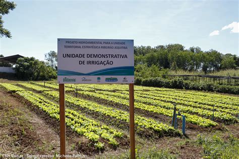 Epamig Participa De Projeto De Fortalecimento Da Regi O Do Ribeir O