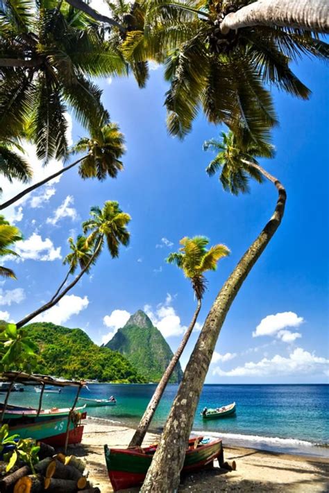 Win A Five Night Holiday To St Lucia Saint Lucia Island