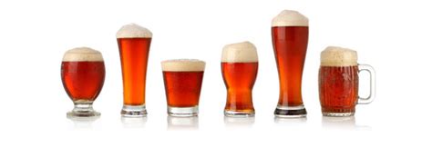 Beer Glass Buying Guide Types Shapes Sizes Explained