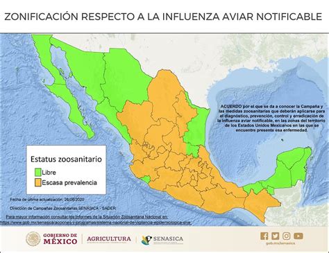 Situación Actual De La Influenza Aviar En México Servicio Nacional De