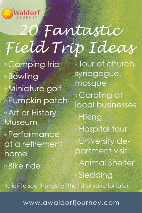 10 Most Recommended Field Trip Ideas For Elementary Students 2024