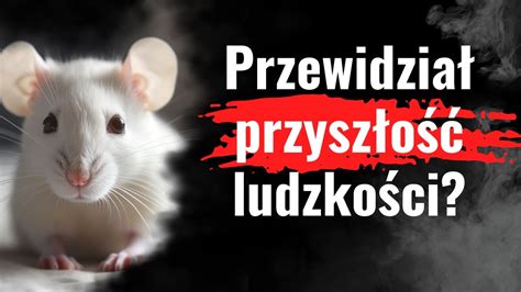 Mysia utopia Eksperyment który zamienił się w koszmar Film z mocnym