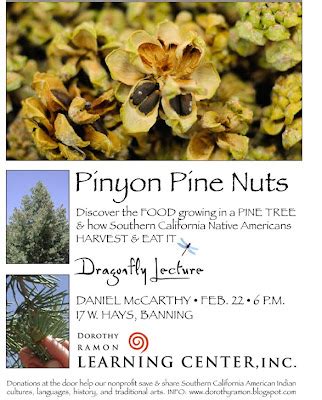 Ahunika': Pinyon Pine Nuts, 2