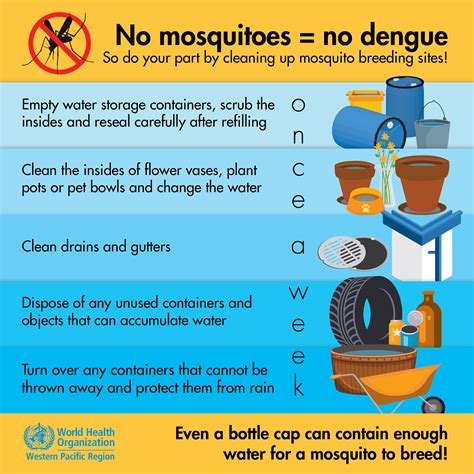 No mosquitoes = no dengue