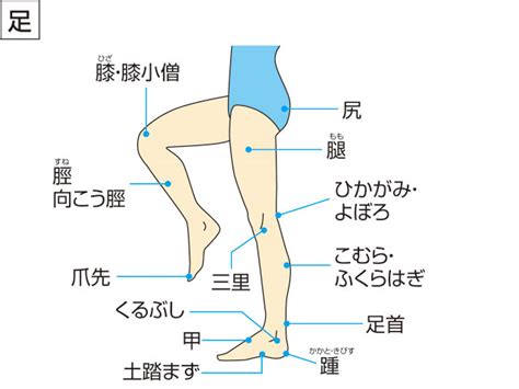 「脚」の意味や使い方 わかりやすく解説 Weblio辞書