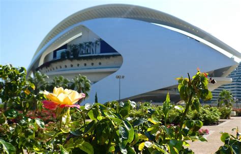 Valencia Turia Gardens Free Photo On Pixabay Pixabay