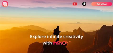 comprehensive guide    inshot blur face feature
