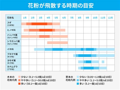 花粉症の症状7つ。原因や流行時期、治療方法や花粉飛散時の対策を紹介 Nafias®