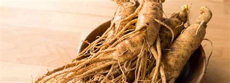 Ginseng Benefits And Its Side Effects Lybrate