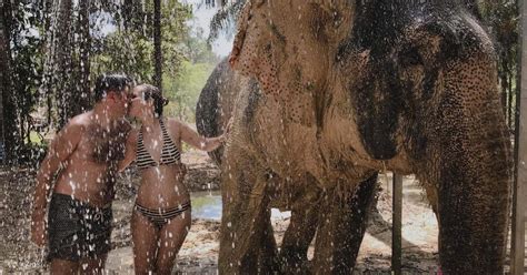 Únase a la experiencia de Elephant Sanctuary Krabi en Krabi Klook