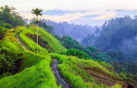 Campuhan Ridge Walk Bali Ubud Water Temple Cool Places To Visit