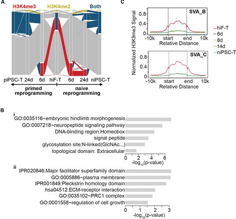 Figures And Data In Unique Molecular Events During Reprogramming Of