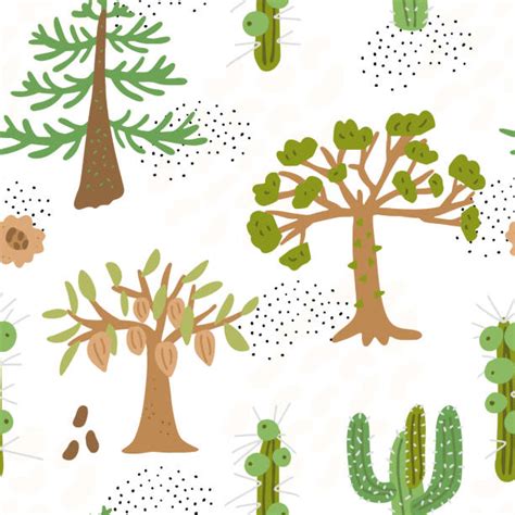 Kapok Tree Illustrations Royalty Free Vector Graphics And Clip Art Istock