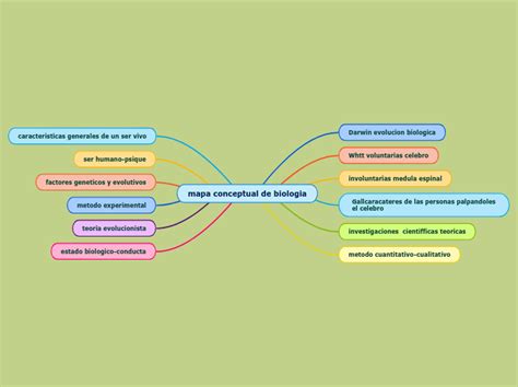 Biologia Mapa Conceptual De La Practica De Biomas Images Hot Sex Picture