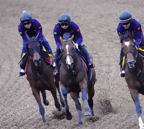 ＜ラジオnikkei賞＞3頭併せで追い切るヴァイスメテオール（中央）（撮影・西川祐介） ― スポニチ Sponichi Annex ギャンブル