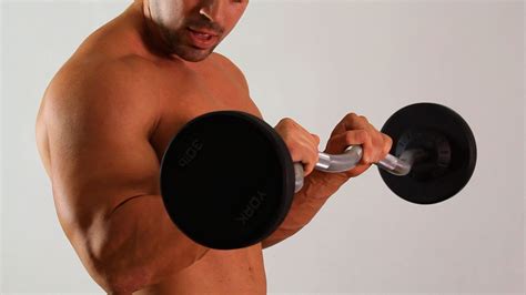 Reverse Bizeps Curl Alle Infos Zur Trainingsübung