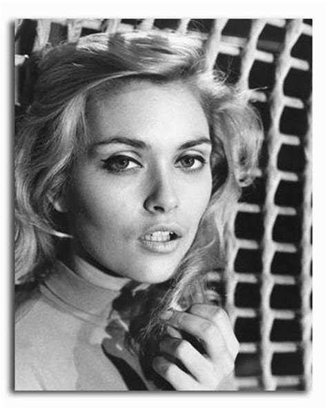 (SS2425345) Movie picture of Alexandra Bastedo buy celebrity photos and ...