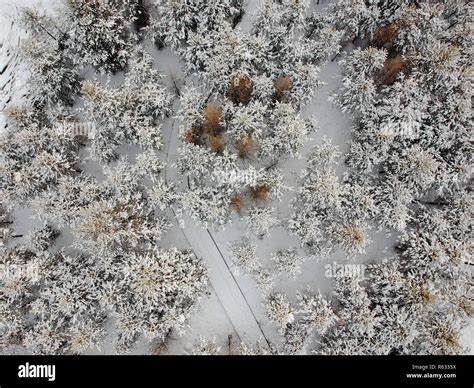 Mohe, Mohe, China. 3rd Dec, 2018. Mohe, CHINA-Stunning winter scenery of the snow-covered Beiji ...