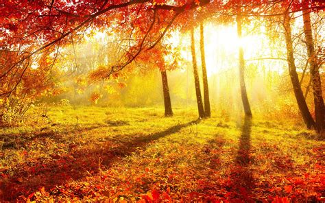 Autumn Sunshine Wallpapers - Wallpaper Cave