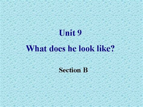 Unit 9 What Does He Look Like Section