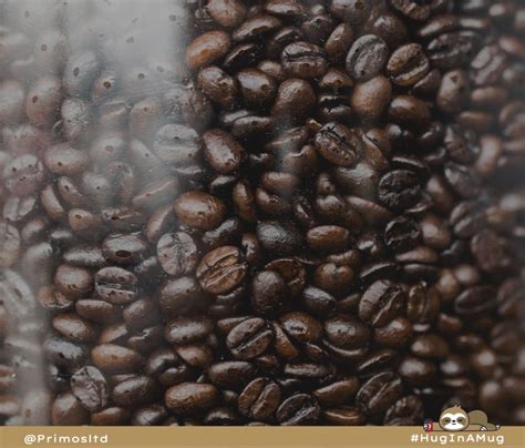 Coffee Bean Storage: Keep Beans Fresh - The Coffee Blog