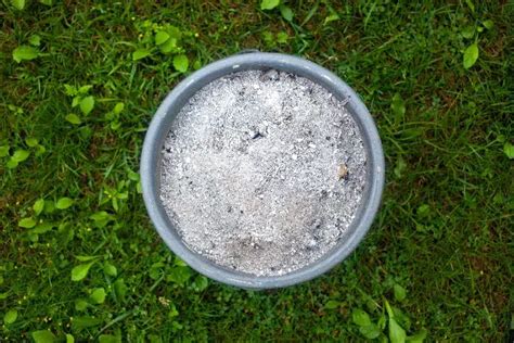 Est ce que la cendre détruit les mauvaises herbes