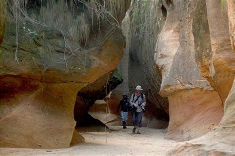 Les Curiosit S Naturelles De Madagascar D Tours Madagascar Voyages