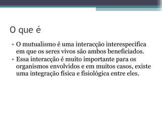 Mutualismo Ppt