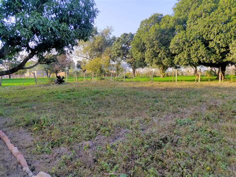 Residential Plot Sq Yards For Sale In Prem Nagar Dehradun