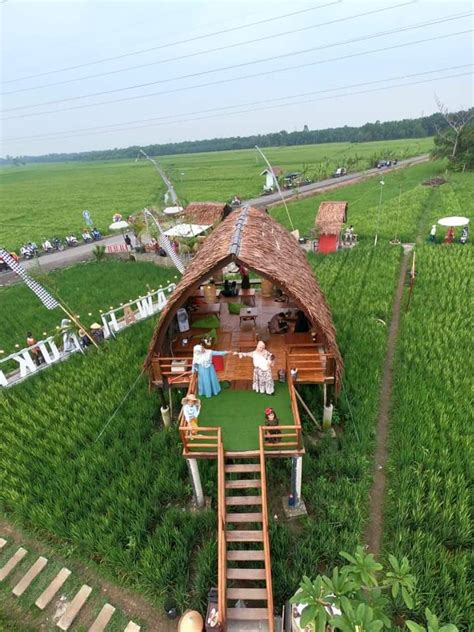 Sawah Lukis Trend Baru Objek Wisata Sawah Di Kota Binjai Guruku