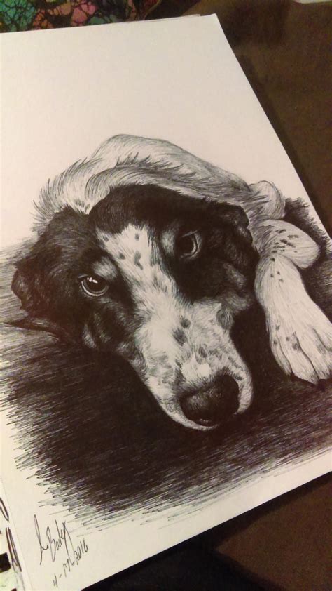 Bic pen art by Aaliyahbailey1998 on DeviantArt