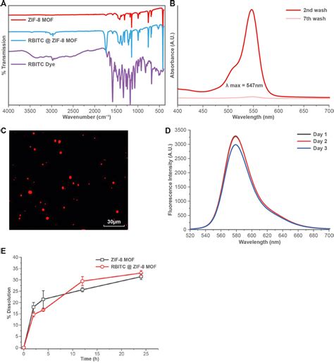 Frontiers Toxicological Impact And In Vivo Tracing Of Rhodamine Functionalised Zif 8 Nanoparticles