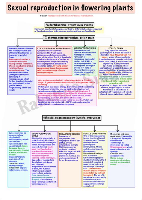 Solution Mind Map Sexual Reproduction In Flowering Plant Studypool