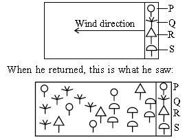 Cbse Class Science Nso Olympiad Mcqs With Answers Set H Multiple