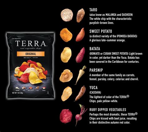 TERRA Original Sea Salt Chips reviews in Chips & Popcorn - ChickAdvisor