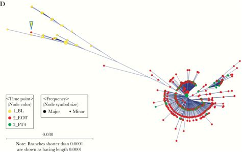 A Phylogenetic Analysis Of Hepatitis C Virus Transmission Relapse And