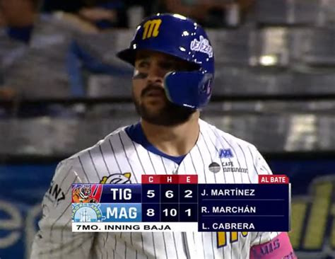 Magallanes vs Tigres EN VIVO mira AQUÍ la hora y dónde ver GRATIS el