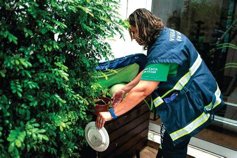 Itaquera é o bairro mais casos de Dengue na Zona Leste Fato Paulista