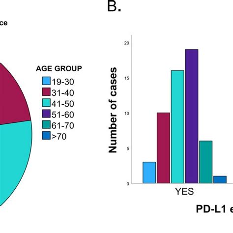 Prevalence Of Ovarian Cancer And Pd L1 Expressions In Different Age Download Scientific Diagram