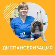«Ветеринарная клиника Клык+, г. Пермь» каталог товаров – 21 товар ...