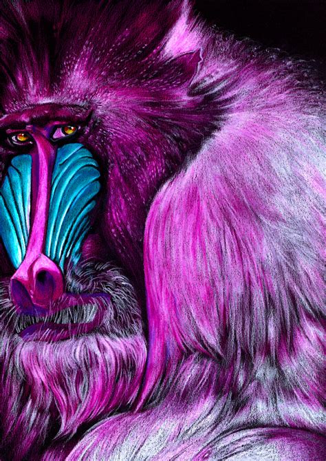 ArtStation - Mandrill
