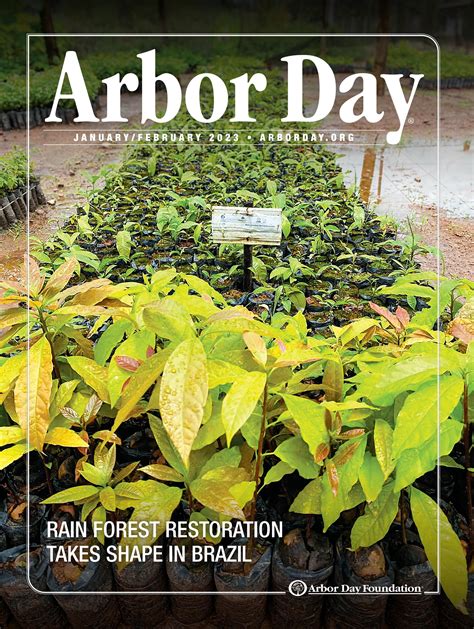 Arbor Day Newsletter January February 2023 By Arbor Day Foundation Issuu