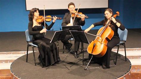 Trio Darchi Violino Viola Violoncello Youtube