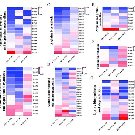 Heat Map Of Typical DEGs Associated With Amino Acid Metabolism In