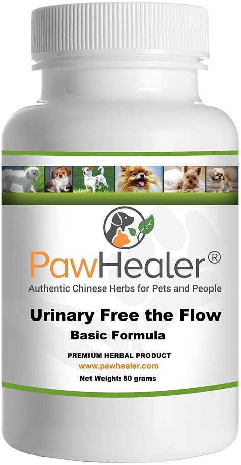 home remedies for dog urinary infection 1